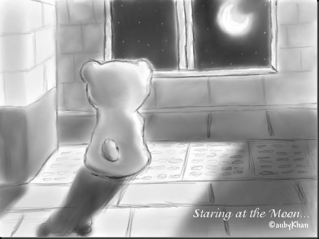 staring-the-moon